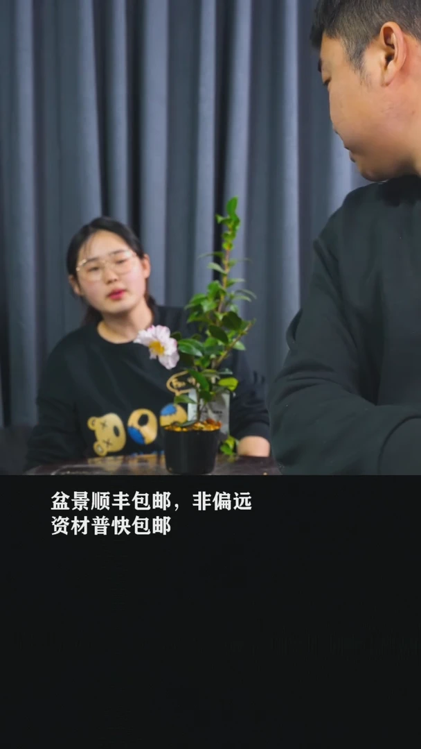 【闪购商品】梅香-BB16