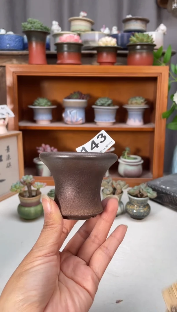 瓷片143知木小芳花盆