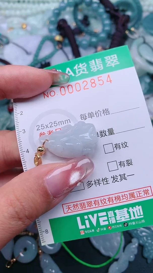 颈饰未镶嵌翡翠.0002854