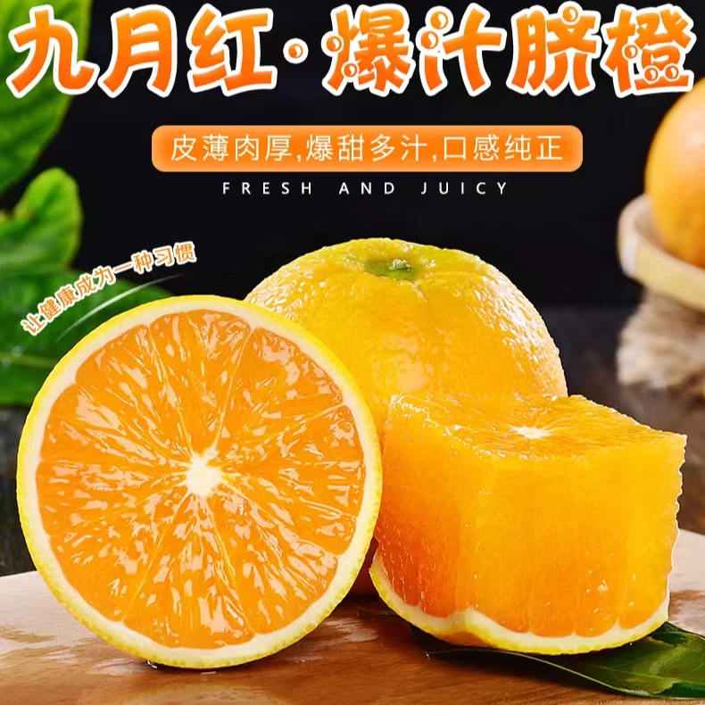 【顺丰包邮】湖北正宗果冻橙秭归九月红现摘现发爆汁化渣5斤装