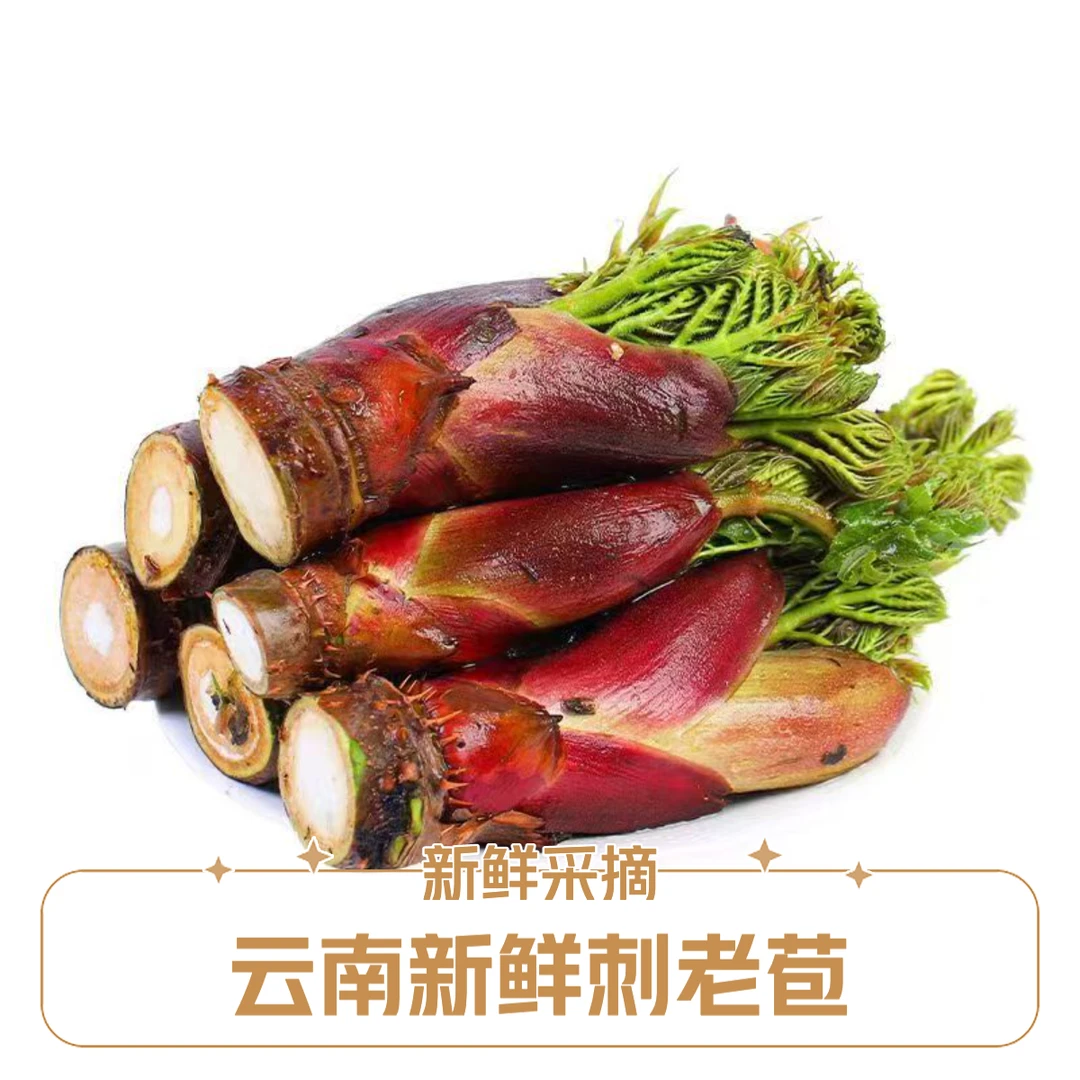 【顺丰包邮】云南新鲜刺龙苞刺老苞刺头菜刺嫩芽现摘刺头菜春季蔬菜