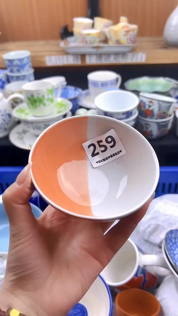 【闪购商品】瓷片259