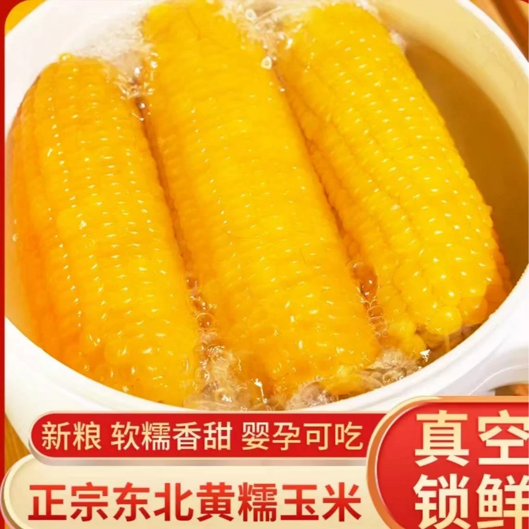 JH（抢12根）东北黄糯玉米新玉米新鲜甜糯玉米真空装坏果包赔K