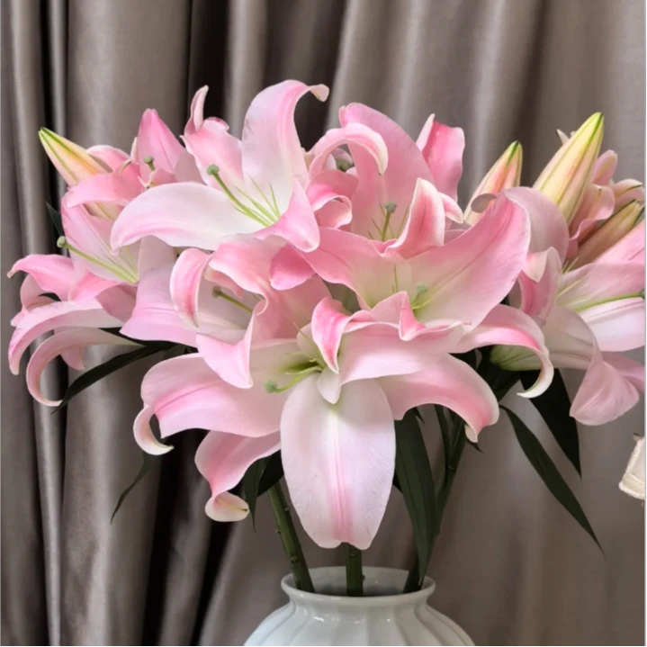 【探花甄选】星光百合 云南基地直发新鲜 两单起发 斗南浪漫七夕礼