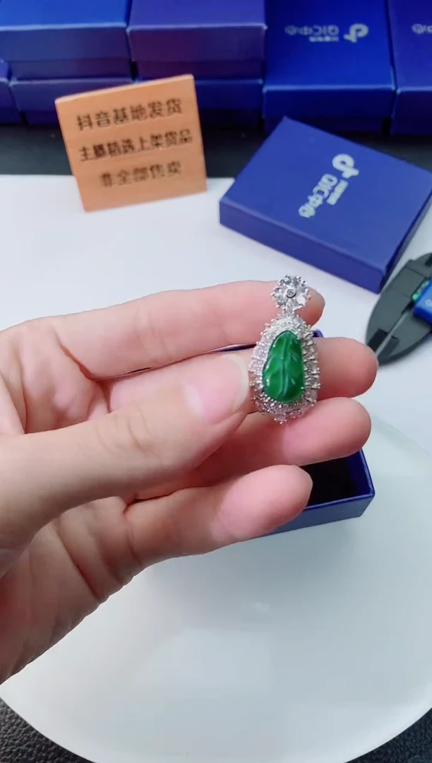 翡翠未镶嵌颈饰  ·