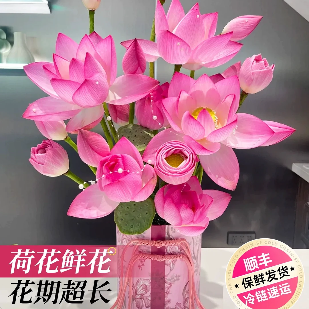 【顺丰包邮】2025新鲜采摘荷花观赏莲花插花 花苞带杆莲蓬 冷链发货