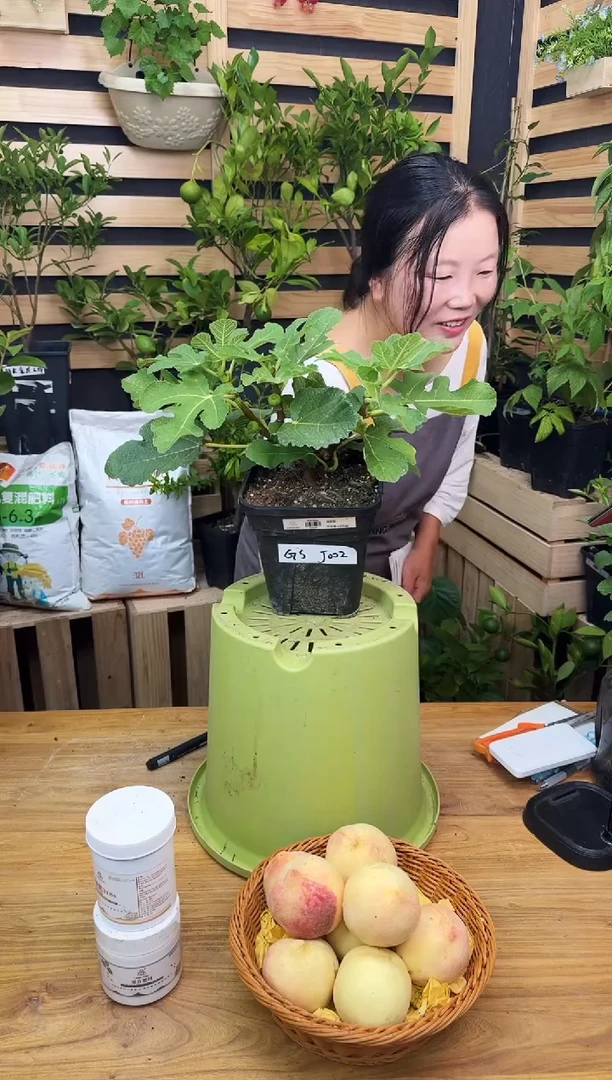 北*.一物一拍 格莱斯 2.8L GSJ002