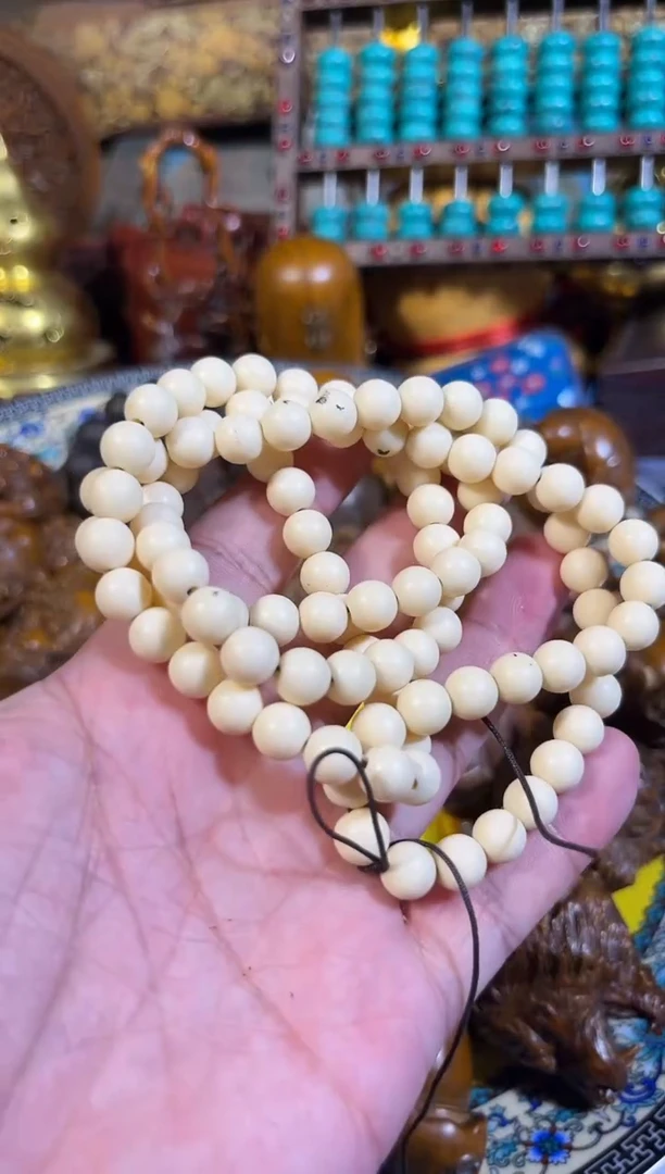 黄杨木11111111111111