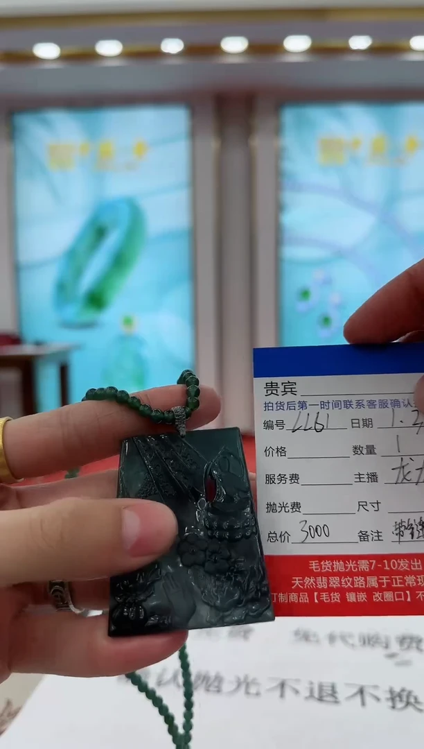 未镶嵌定制翡翠LL61翡翠吊坠赠珠链-多样性发其一