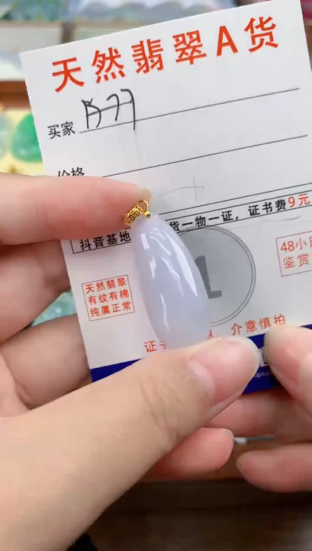 颈饰未镶嵌翡翠天然A货翡翠挂件