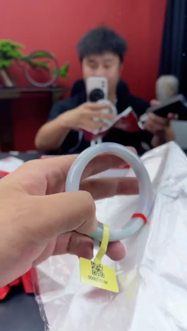 未镶嵌手镯翡翠4