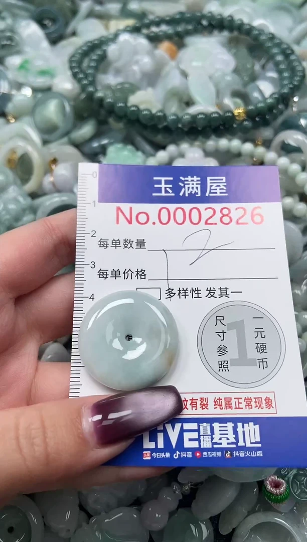 颈饰未镶嵌翡翠2826