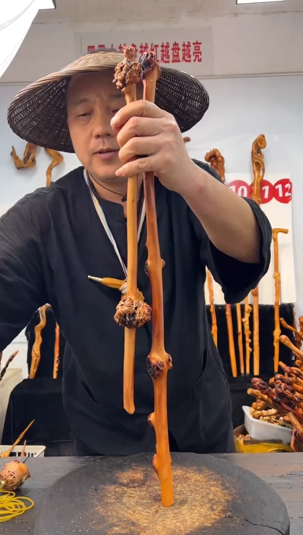 黑果木其他黑果木565