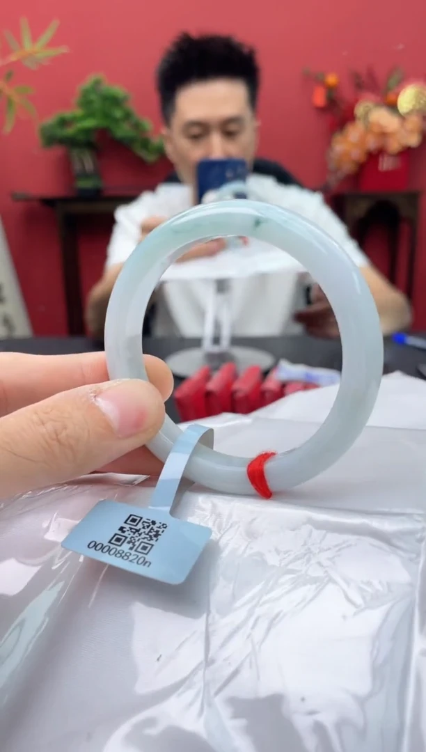 未镶嵌手镯翡翠5
