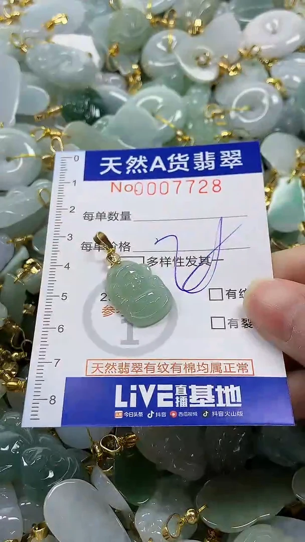 颈饰未镶嵌翡翠纯天然a货翡翠