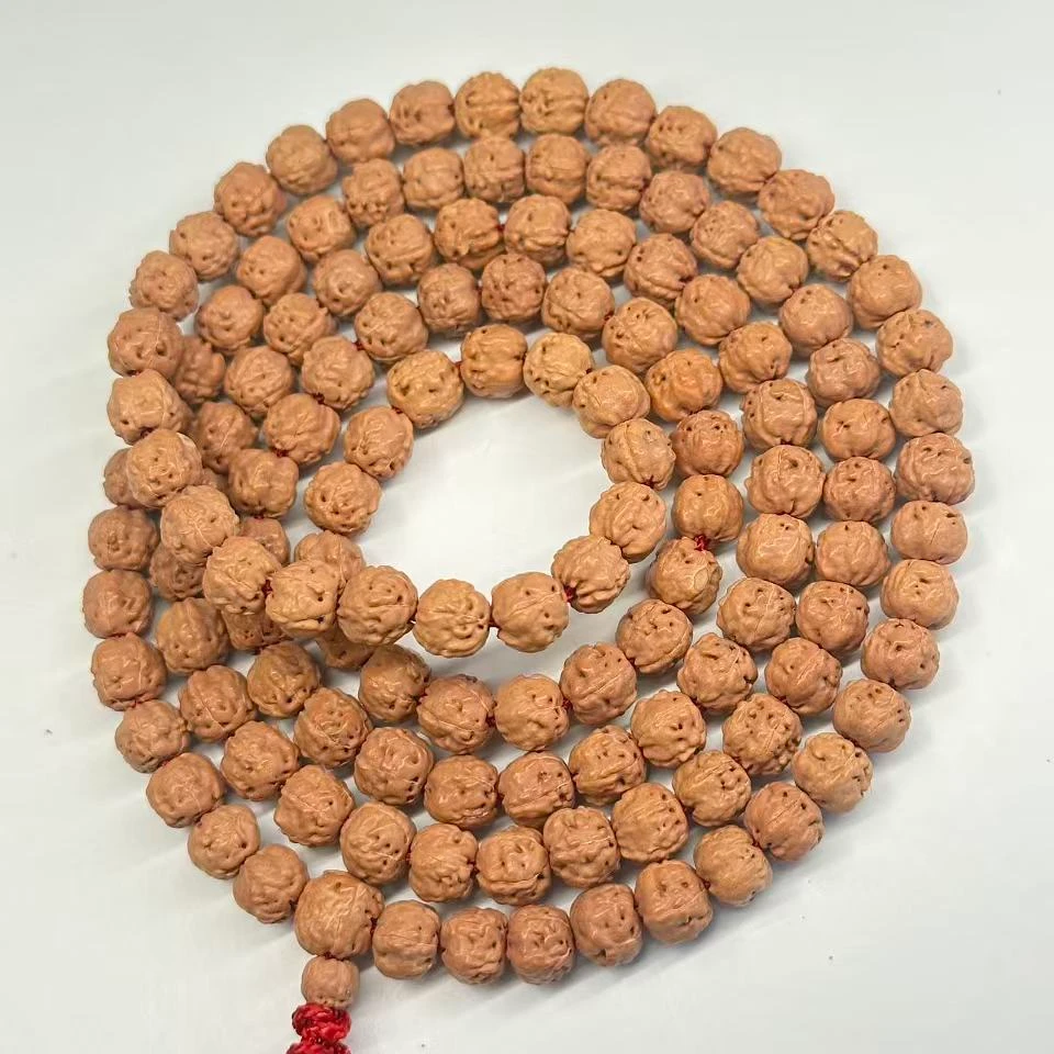 大林子元旦破价福利  B331 五爪佛手金刚菩提 p4