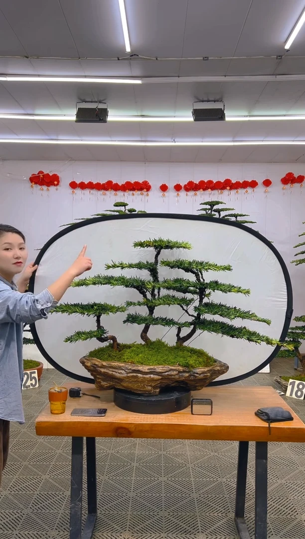 【闪购商品】盆景1