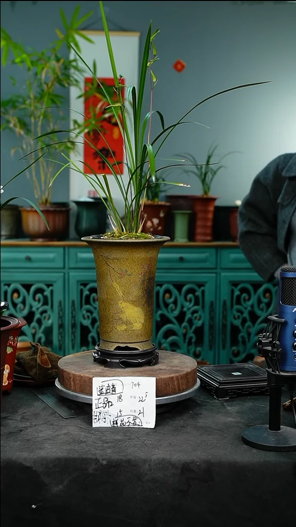 紫砂花盆704+s紫砂花盆
