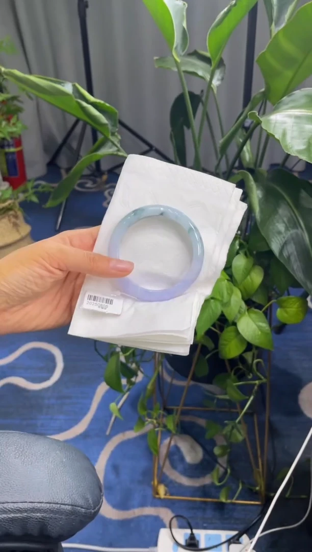 未镶嵌手镯翡翠5865****