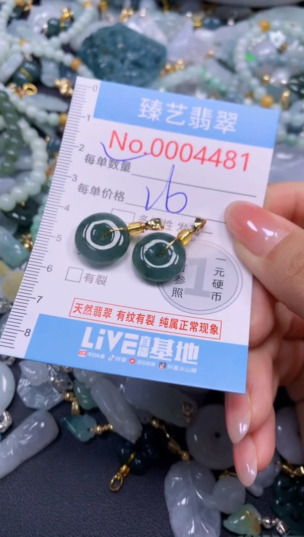 颈饰未镶嵌翡翠4481