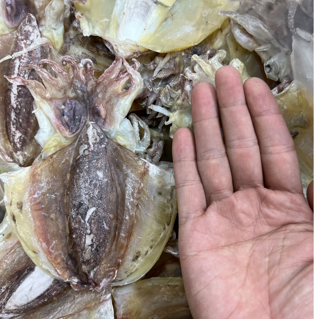 [老李甄选]精选墨鱼干（14-16头）250g/500g