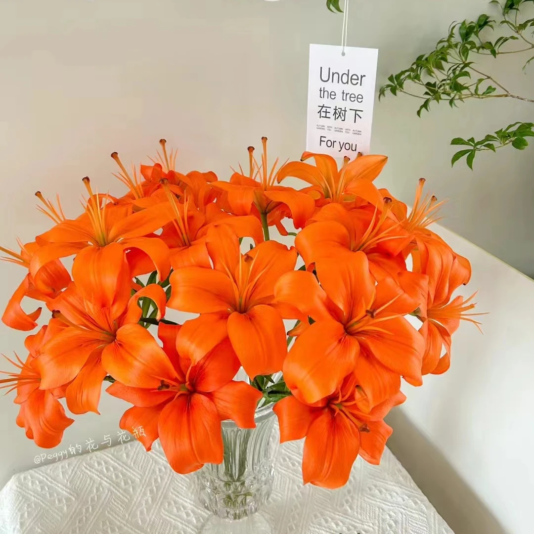 橙色梦想橙色亚洲百合水养鲜花浪漫百合东北基地发货（顺丰包邮）