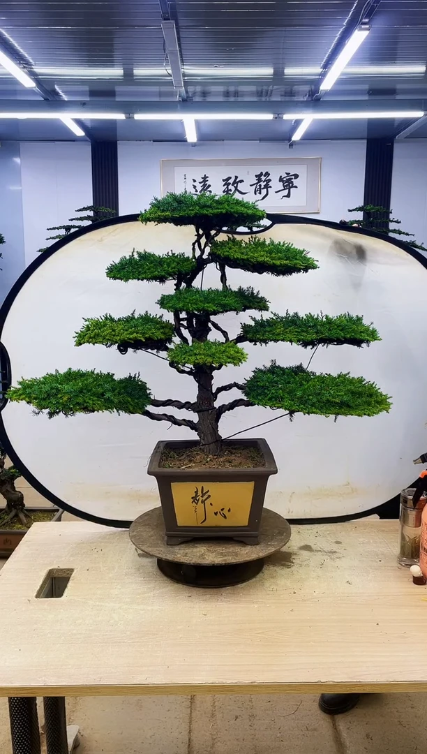 无花朵肇****司000000000000000000