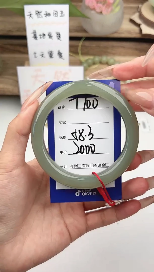 未镶嵌手镯和田玉微色差T100