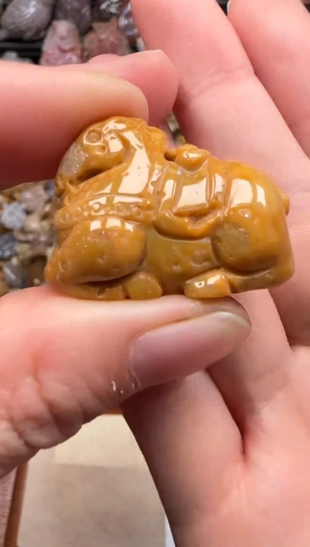 【闪购商品】硅化珊瑚（珊瑚玉）颈饰未镶嵌066