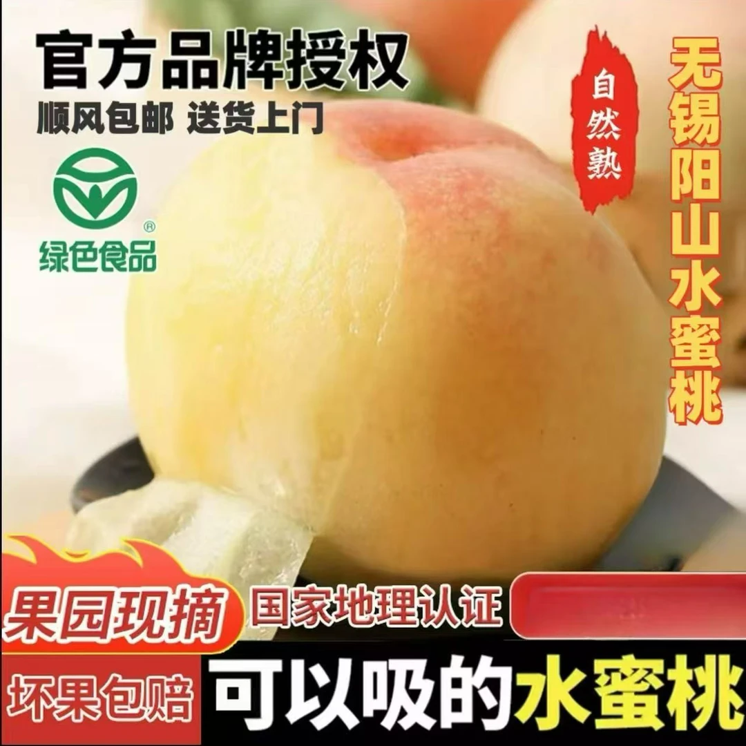 【升级5-4两】正宗无锡阳山白凤水蜜桃当季新鲜水果脆软甜多汁