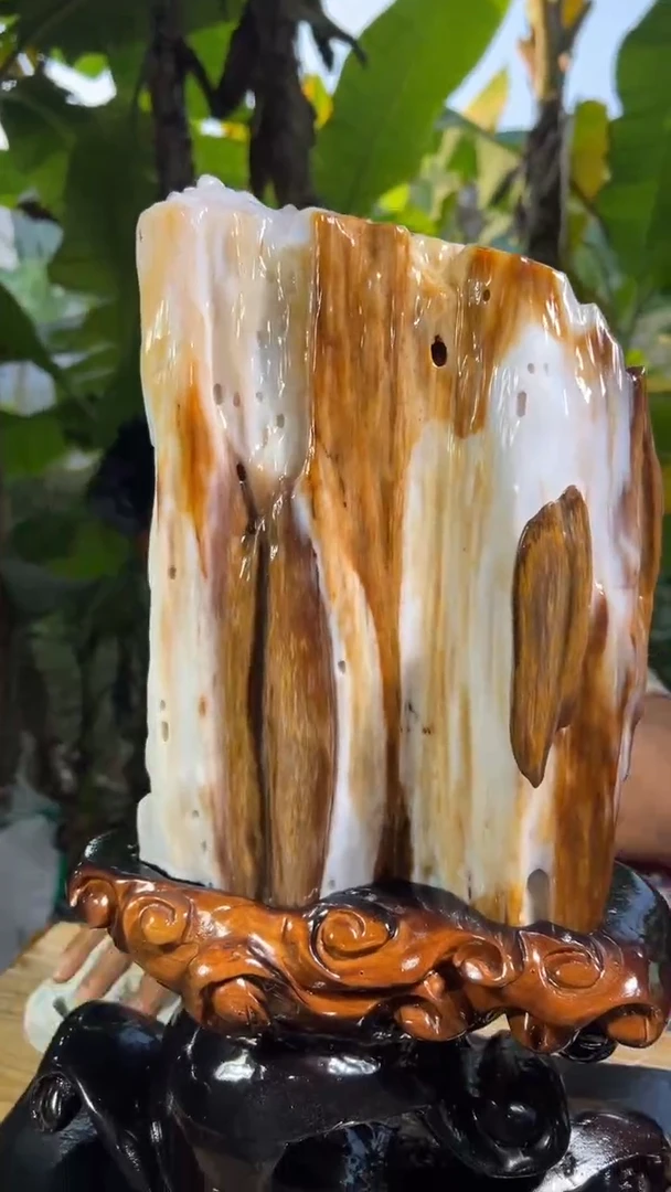 【闪购商品】硅化玉珠宝奇石未镶嵌拍一发一