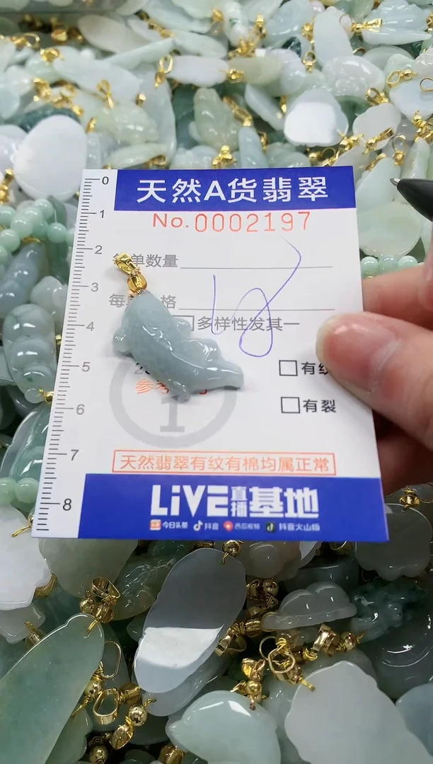 颈饰未镶嵌翡翠纯天然a货翡翠