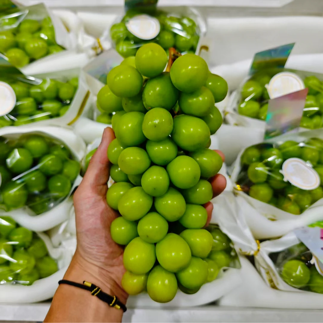 毅萃鲜阳光玫瑰 花香浓郁 口感纯甜