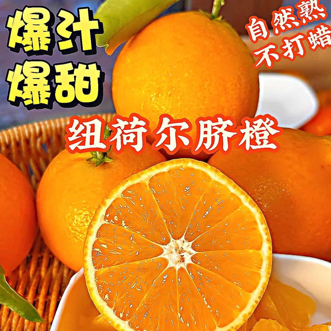 正宗高山脐橙现摘现发10斤新鲜当季水果纽荷尔橙