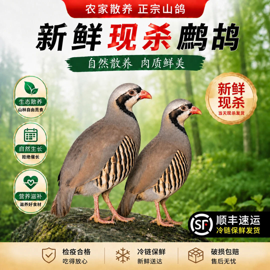 膳百乐【拍一发六】鹧鸪散养新鲜现宰咕咕鸡顺丰包邮小飞龙试吃一只