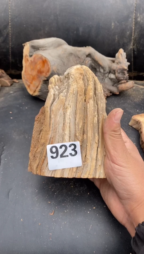 柏木（崖柏）太行陈化崖柏切片！随机（1单1片）923