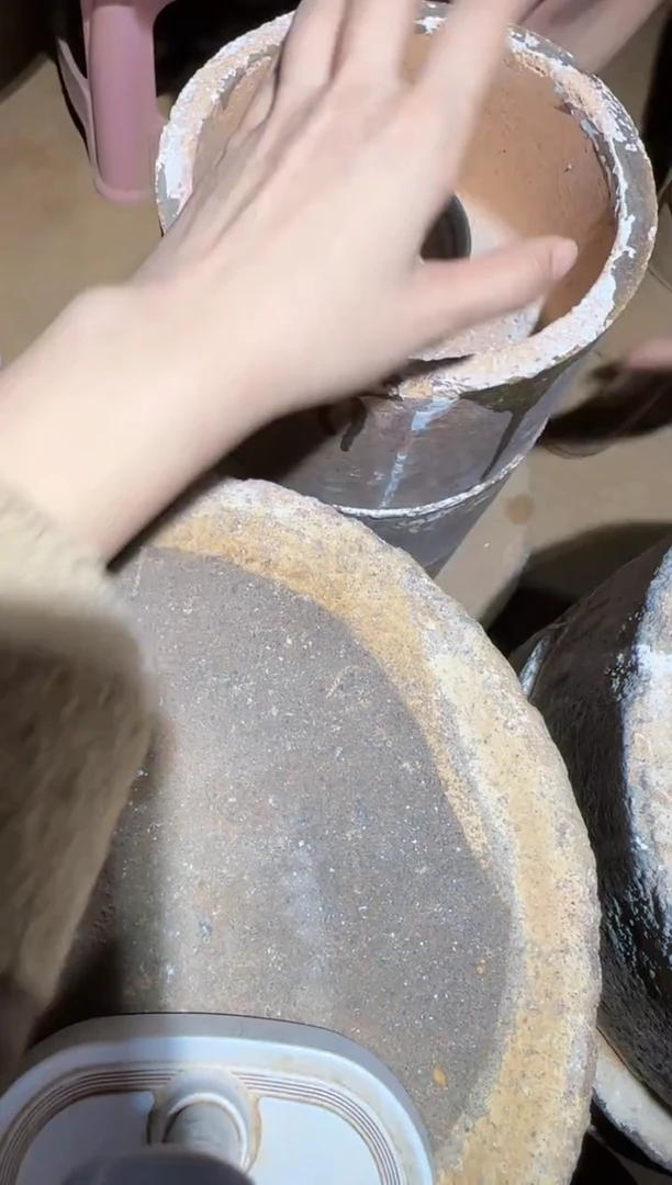 茶盏152科研院院长-杨飞燕