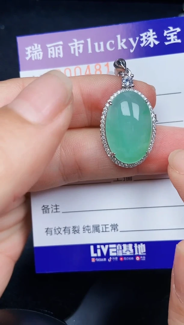 翡翠银S925镶嵌颈饰4813