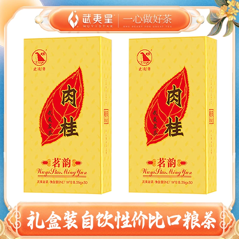 武夷星 茗韵肉桂250g茶叶茶叶礼盒