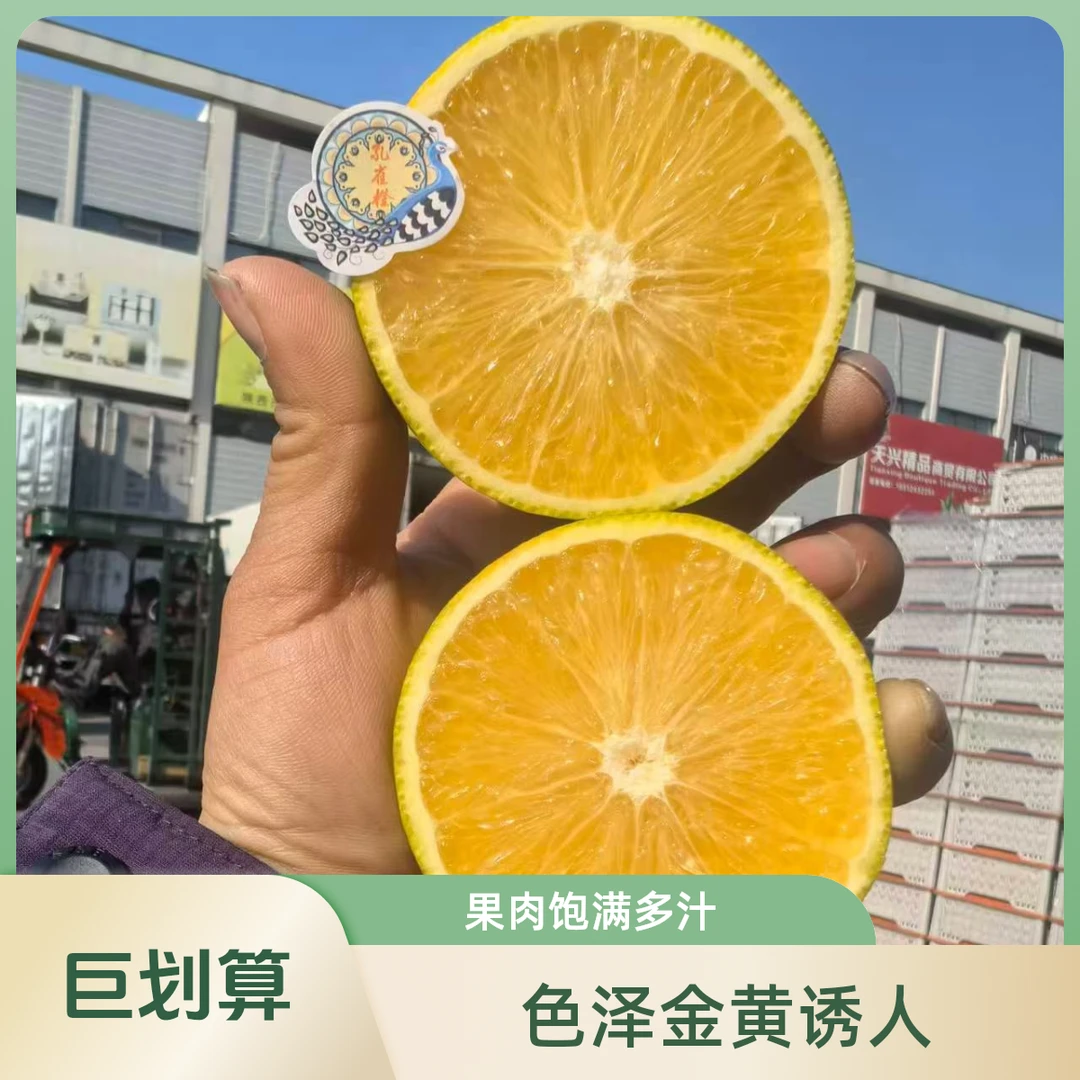 （呱呱达）爆汁孔雀橙