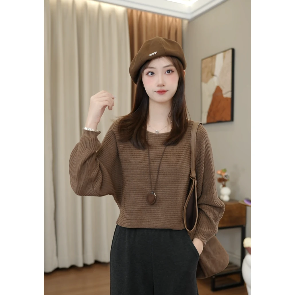 小个子简约韩版美拉德风时尚套头百搭秋季长袖针织衫