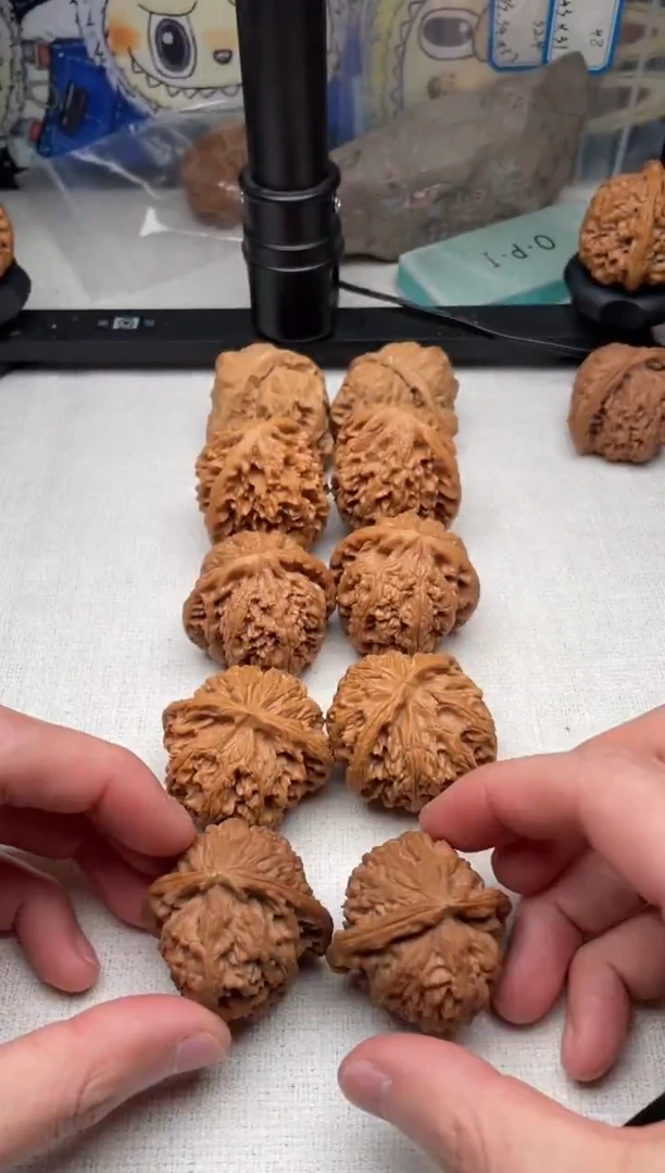 把件文玩核桃环****练打包