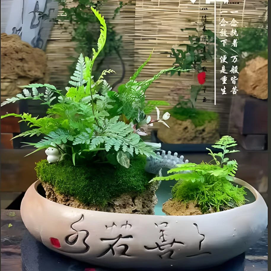 观山景吸水石室内绿植盆景（一物一拍）（请勿盲拍）客厅