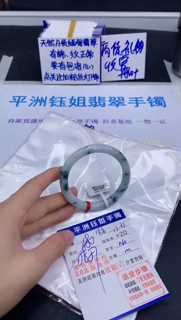未镶嵌手镯翡翠11111
