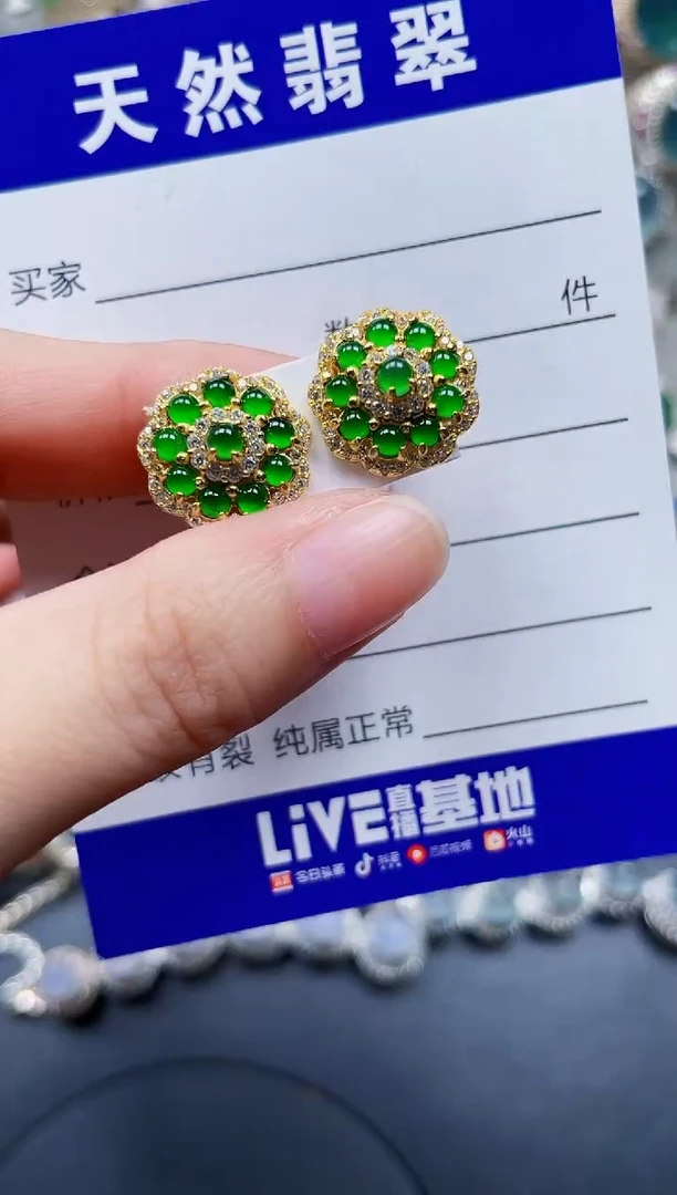 银S925镶嵌翡翠耳饰129