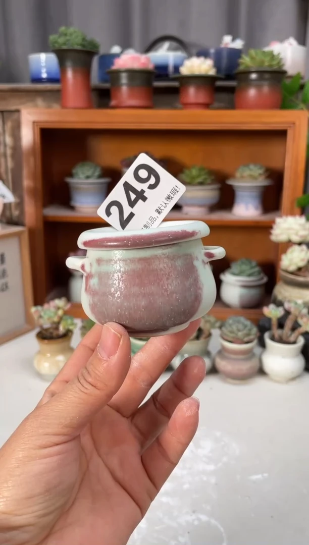 瓷片249小芳直播编号