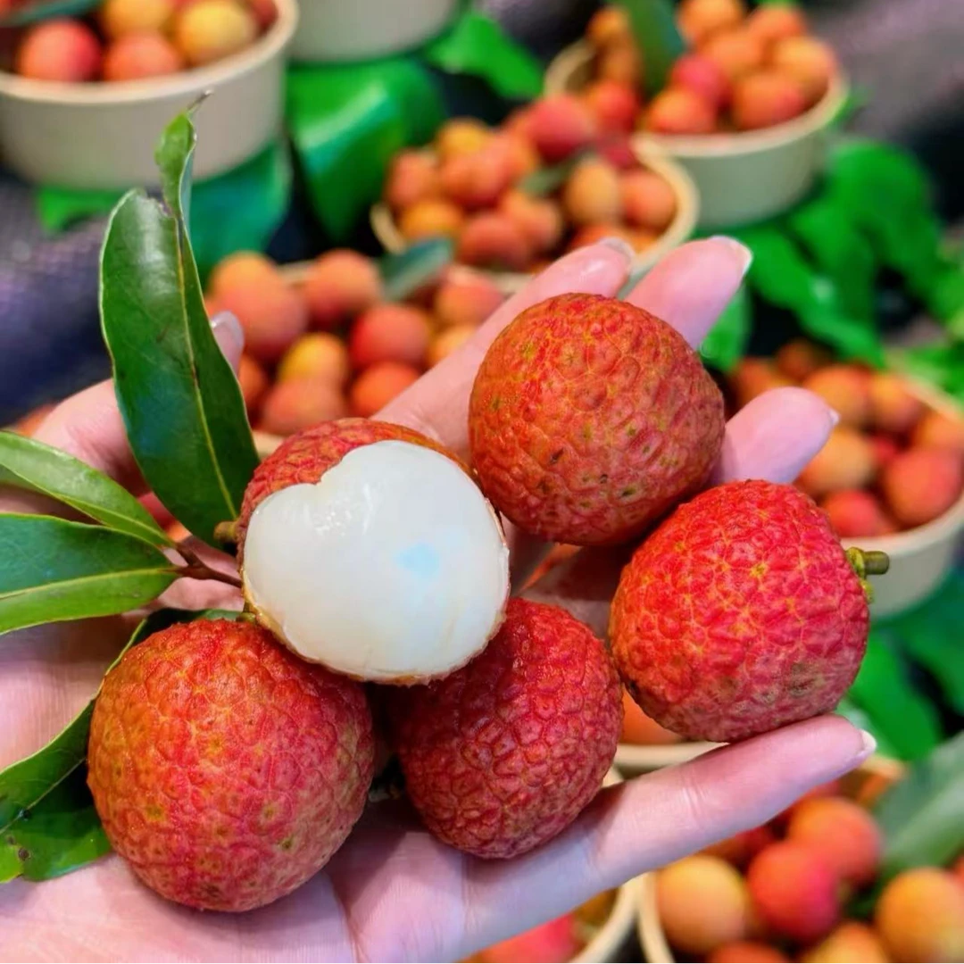 【次日达】今天拍明天到！正宗茂名白糖罂荔枝升级18+大果纯甜无酸！