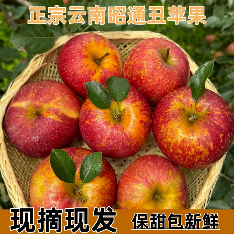 正宗云南昭通丑苹果当季新鲜水果甜密苹果脆甜多汁产地直发包邮