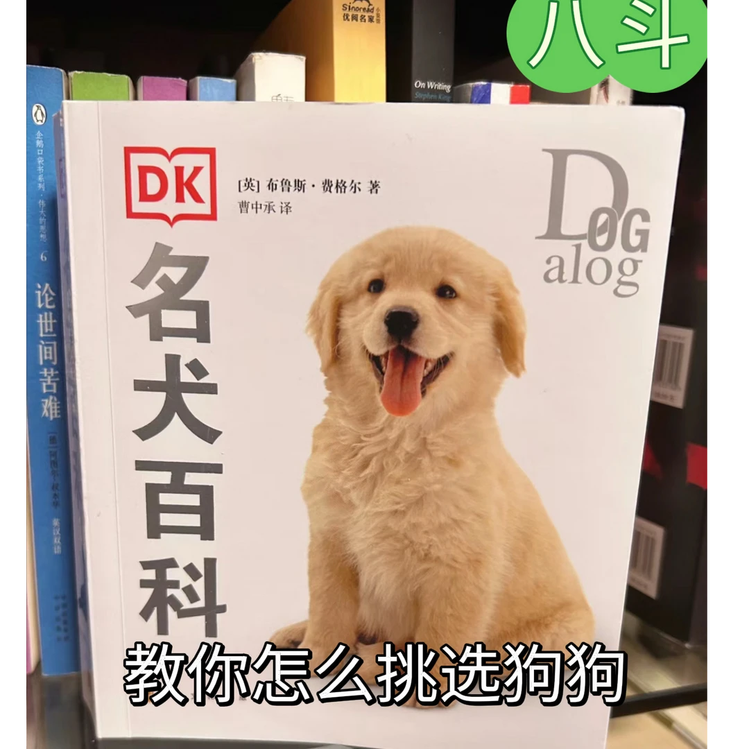 八斗教你怎么挑选狗狗