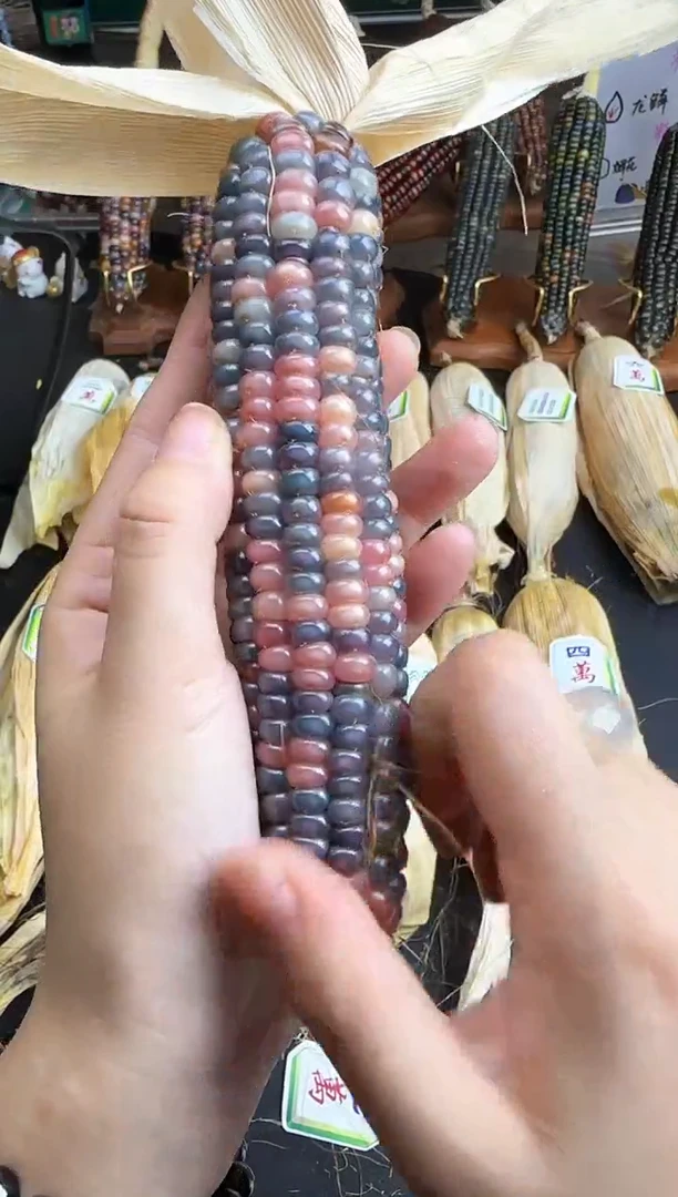 【闪购商品】哈哈哈哈哈哈哈哈哈哈哈哈